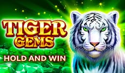 Tiger Gems-Hold and Win